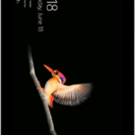 Microsoft Surface Go