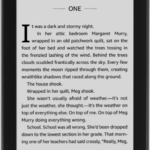 Amazon Kindle Paperwhite 10th Gen