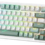 Redragon K719 Wireless Gasket Gaming Keyboard w/Hype Screen & Knob, 95 Keys Mechanical Keyboard, Easy-Control 1.14’’ TFT Info Display, 5-Layer Noise Dampening, Custom Linear Switch, Jade Cloud Color