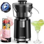 FEPPO Snow Cone Machine & Smoothie Blender 2 in 1, 700W Powerful Shaved Ice Machine Slushine Machine, Frozen Margarita Machine with Stainless Steel Blade, Smoothie Recipe, for Home Kitchen Party